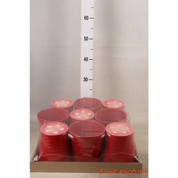 Maceta ceramica  Rojo 12cm